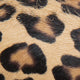 Leopard Calf Hair