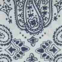 White/Navy Paisley