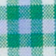 Green/Sky/White Check Poplin